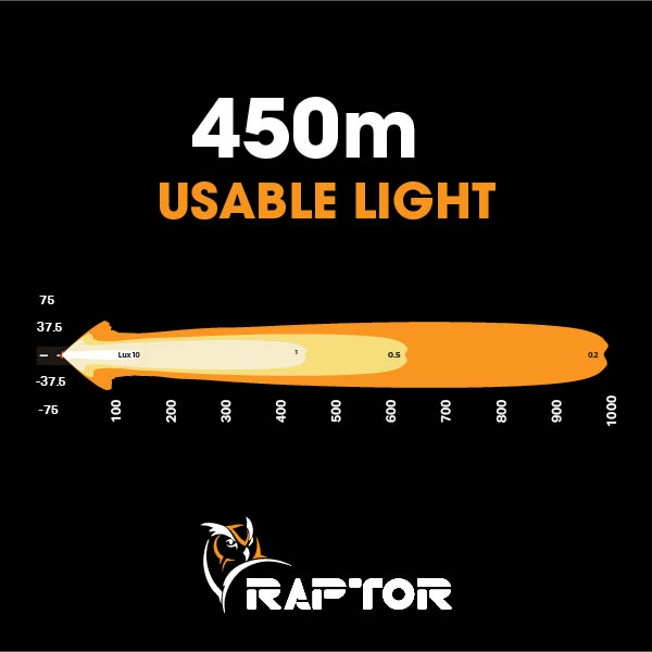 Raptor-60-2.jpg